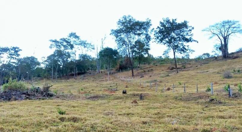 Sale of farm in Pirenópolis