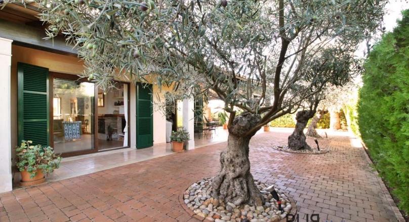 Real rarity. Villa 5 bedrooms. 3 minutes to the sea. Holiday rental license. And the price !
