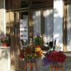 Buy a successful apartment/studio boutique hotel 100 meters from the beach