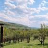 a small paradise in the middle of a field and hills