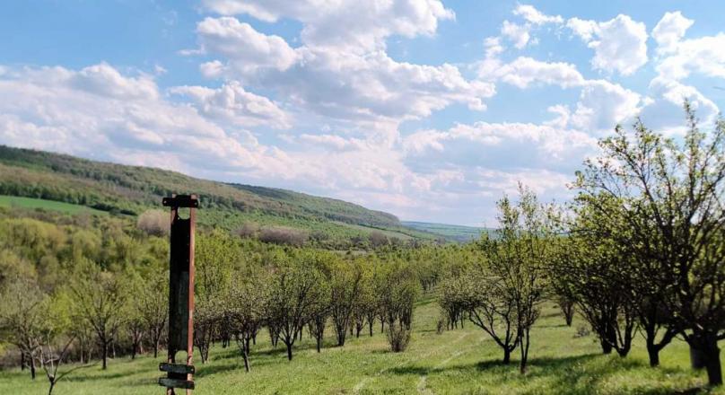 a small paradise in the middle of a field and hills