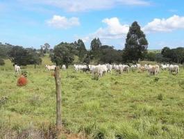 the sale of six plots of land near Pirenópolis