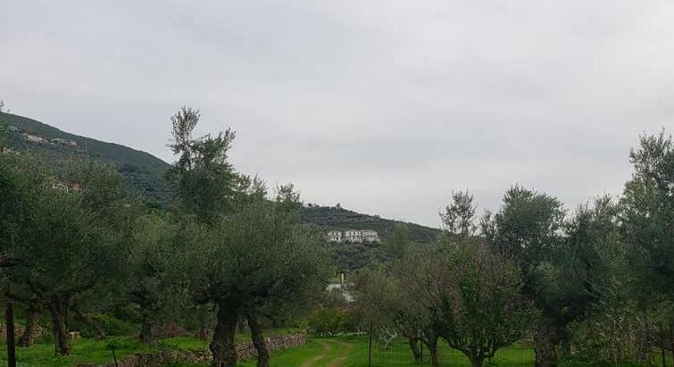 WHERE DREAMS ARE MADE!!