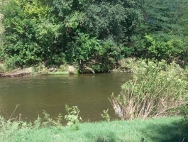 ATENCION!!! GRAN LOTEO EN SANTA ROSA DE CALAMUCHITA!!! CON BAJADA AL RIO!!