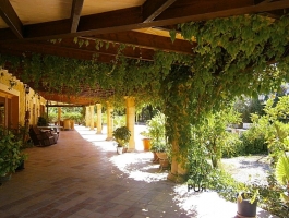 Room Inca / Binissalem - investment property / letting object, 11 bedrooms, 11 bathrooms