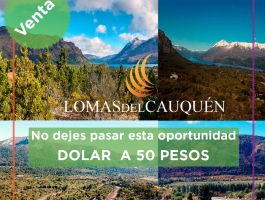 Do not miss this opportunity, WIN WHEN DOLLING !!! LAST LOTS WITH DOLLAR AT 50 PESOS