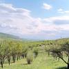 a small paradise in the middle of a field and hills