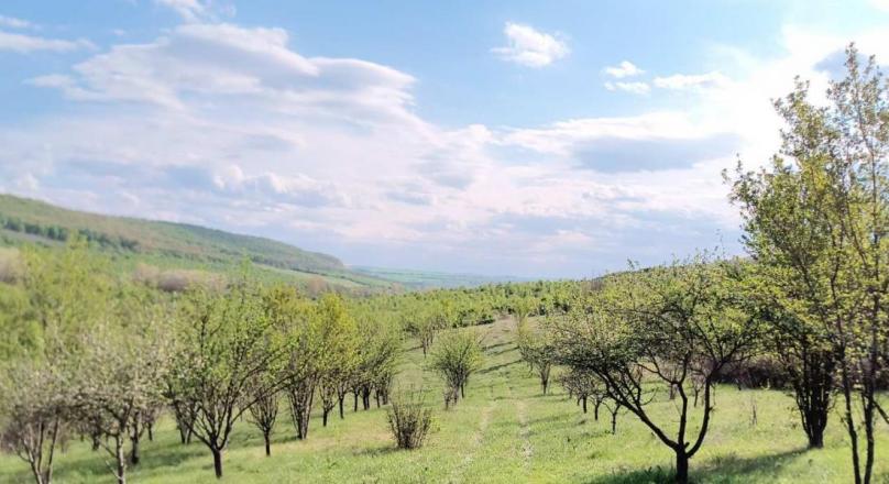 a small paradise in the middle of a field and hills