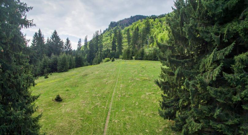 SEE drone filming !! 9,000 sqm, in the embrace of nature pure, partially wooded