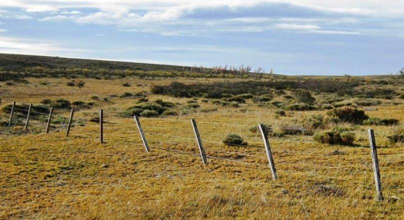 Field - GREAT OPPORTUNITY