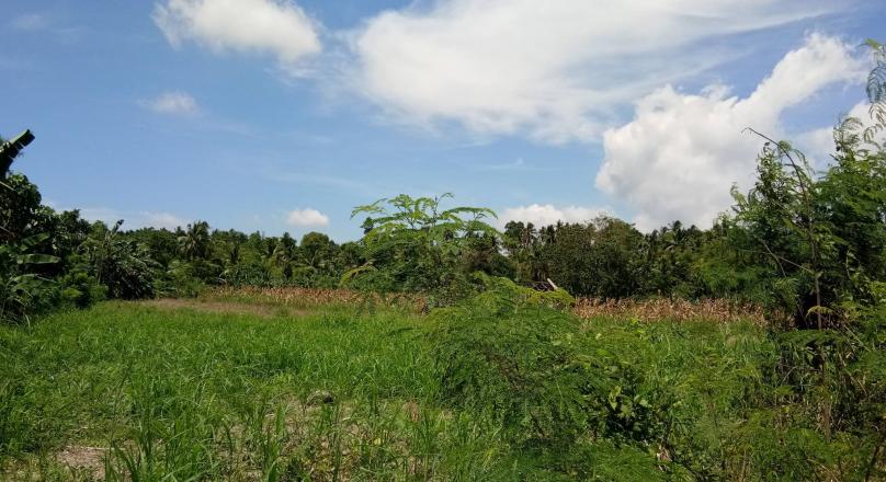 INDUSTRIAL LOT FOR SALE