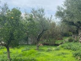 WHERE DREAMS ARE MADE!!