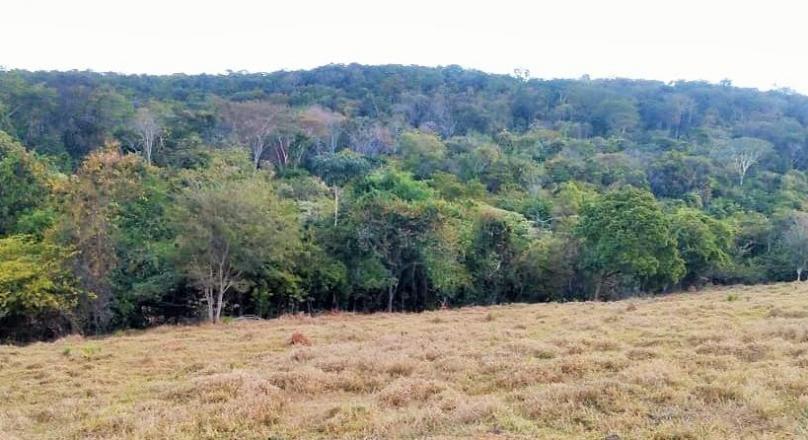 Sale of farm in Pirenópolis