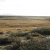 PRODUCERS / INVESTORS - GREAT OPPORTUNITY US $ 35 / HA