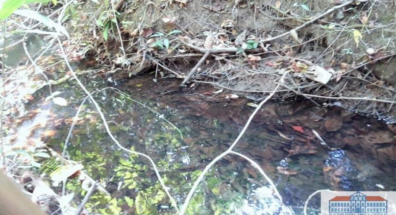 sale of four plots of land near Pirenópolis