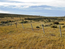 Field - GREAT OPPORTUNITY