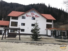 Business for sale in the Transalpina Sale Meadow Pension Dan