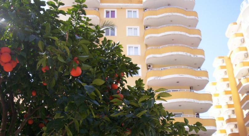 2 bedrooms apartment which is ready to move in,buy today, start to live in tomorrow,in Mahmutlar/Alanya/Turkey
