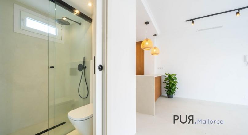 Renovated apartment with large terrace