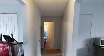 Large and quiet 4½ newly renovated free immediately