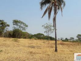 sale of four plots of land near Pirenópolis