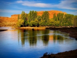 Las Plumas / Chubut - 60000 hectares