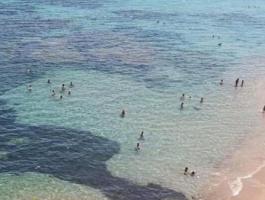 2 ADJACANT PLOTS WITH PANORAMIC SEA VIEW