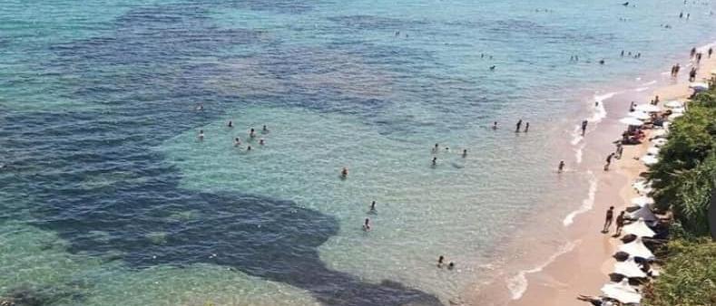 2 ADJACANT PLOTS WITH PANORAMIC SEA VIEW