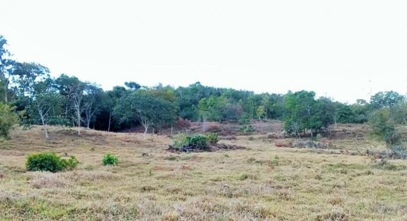 Sale of farm in Pirenópolis