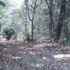 Unmissable, sale of four plots of land near Pirenópolis