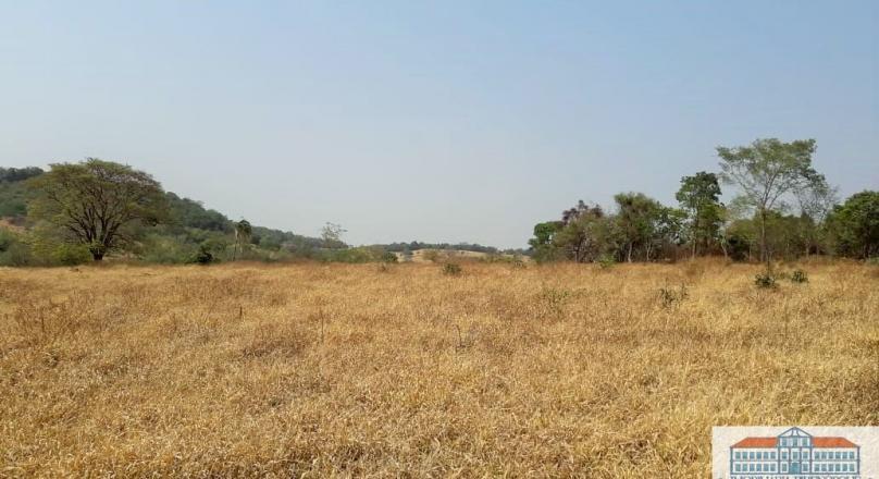 Unmissable, sale of four plots of land near Pirenópolis