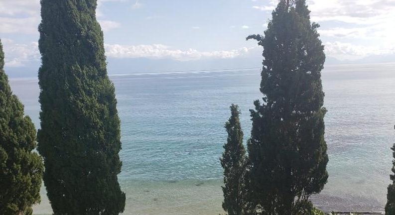 2 ADJACANT PLOTS WITH PANORAMIC SEA VIEW