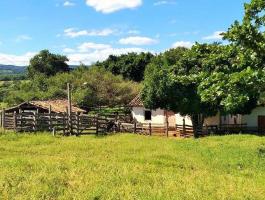 Sale of farm with an exuberant beauty