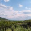 a small paradise in the middle of a field and hills