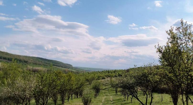 a small paradise in the middle of a field and hills
