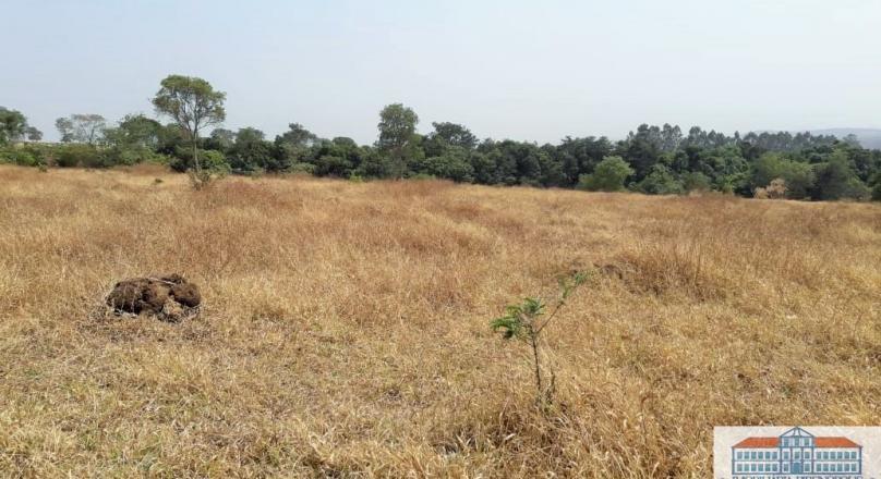 Unmissable, sale of four plots of land near Pirenópolis