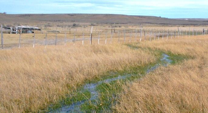 DUEÑO VENDE GRAN ESTANCIA FAMILIAR – 30000 HAS -  U$S 35/HA