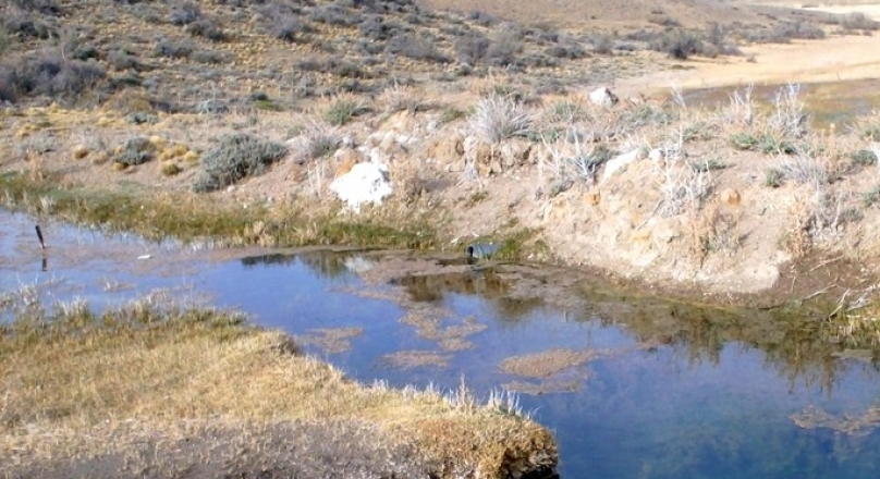 DUEÑO VENDE GRAN ESTANCIA FAMILIAR – 30000 HAS -  U$S 35/HA