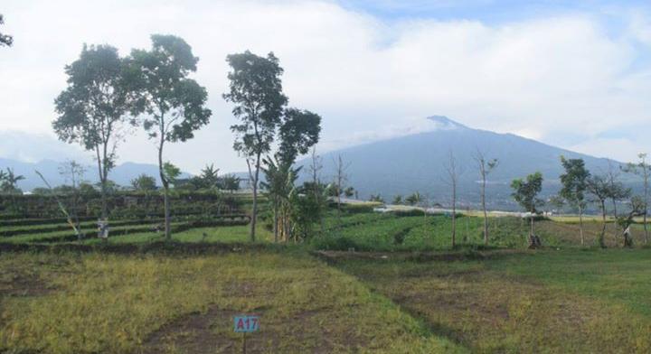 Land Lot on Housing 50 meters tour BNS