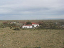 Beautiful field of 20,000 hectares in Santa Cruz