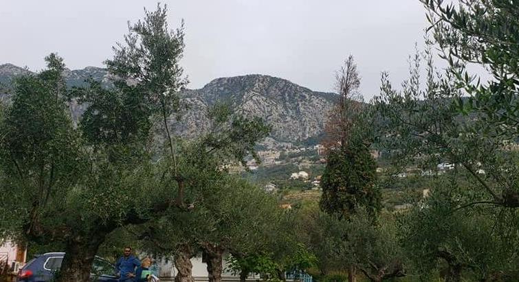 WHERE DREAMS ARE MADE!!