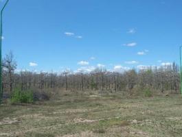 LOT OF 300 M (10 X30) FOR SALE B ° RESIDENCIAL LA NUEVA ERA 2, CINCO SALTO