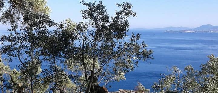 Land in Corfu Greece for sale