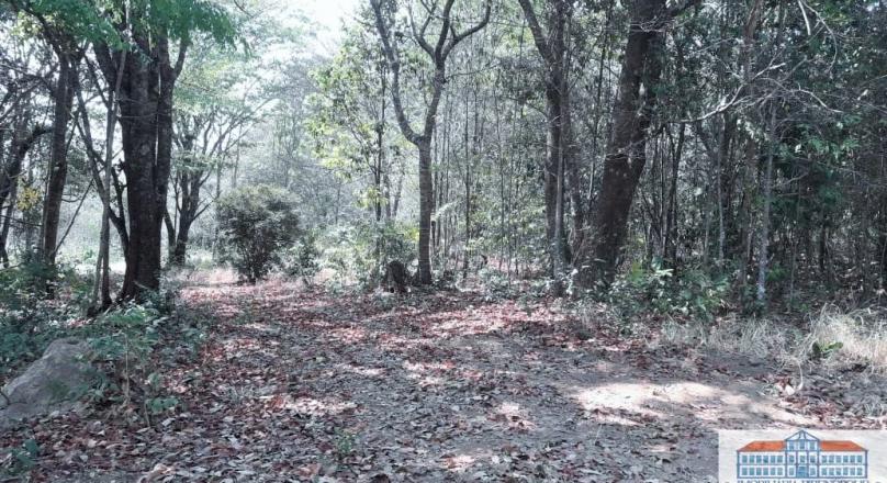 sale of four plots of land near Pirenópolis