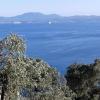 Land in Corfu Greece for sale